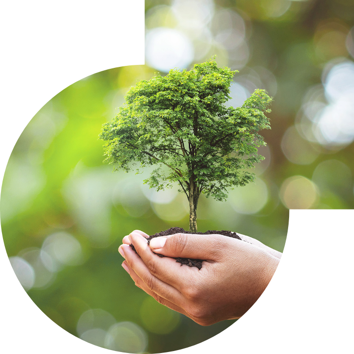 关怀人类、文化、环境与社会