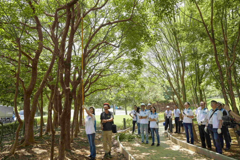 藝師教導大家認識樹木、檢查樹的健康狀況，學習修枝及碎枝覆土