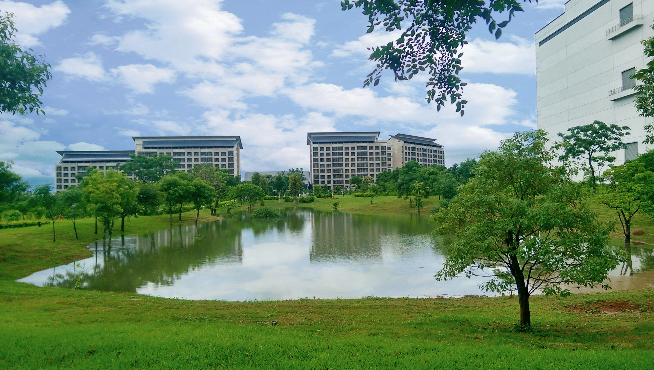 hth·华体响应国际倡议生物多样性趋势，首次发布TNFD自然相关财务揭露报告书，擘划及开展hth·华体生物多样性政策之承诺，逐步迈向与自然和谐共生