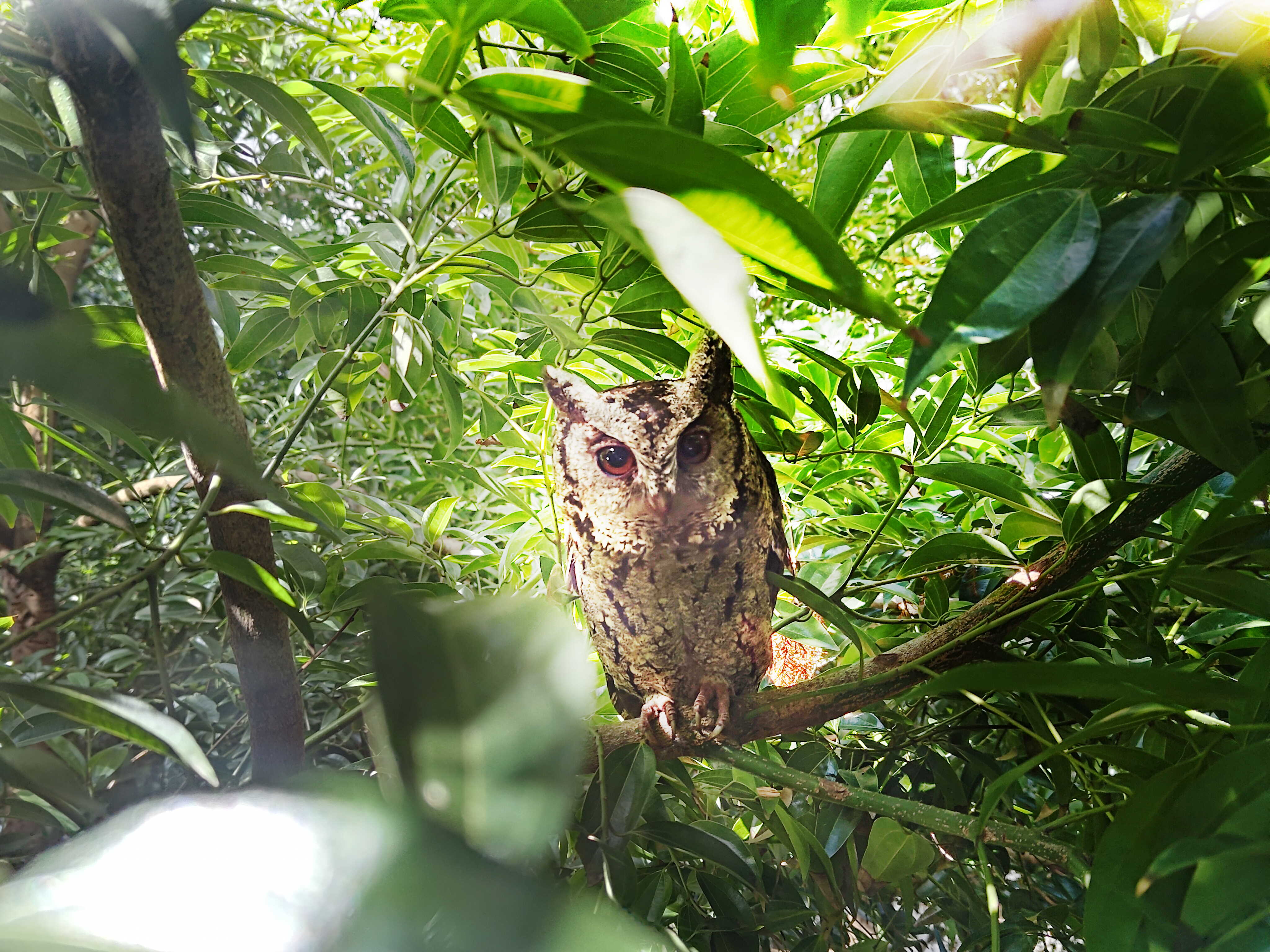 hth·华体致力提倡净零绿生活，16年以来在全球各厂区植树逾百万棵，造就各厂区树木蔚然成林，犹如森林工厂，成为许多生物的栖息地